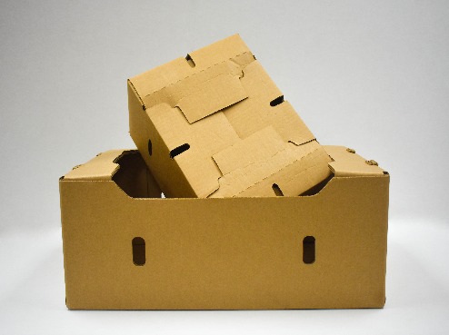 Fresh Produce Cartons 