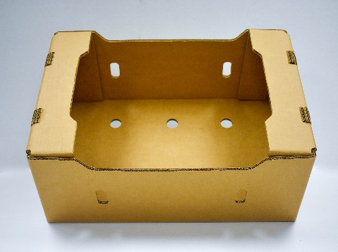 Fresh Produce Cartons 